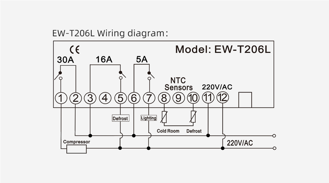 EW-T206L-07